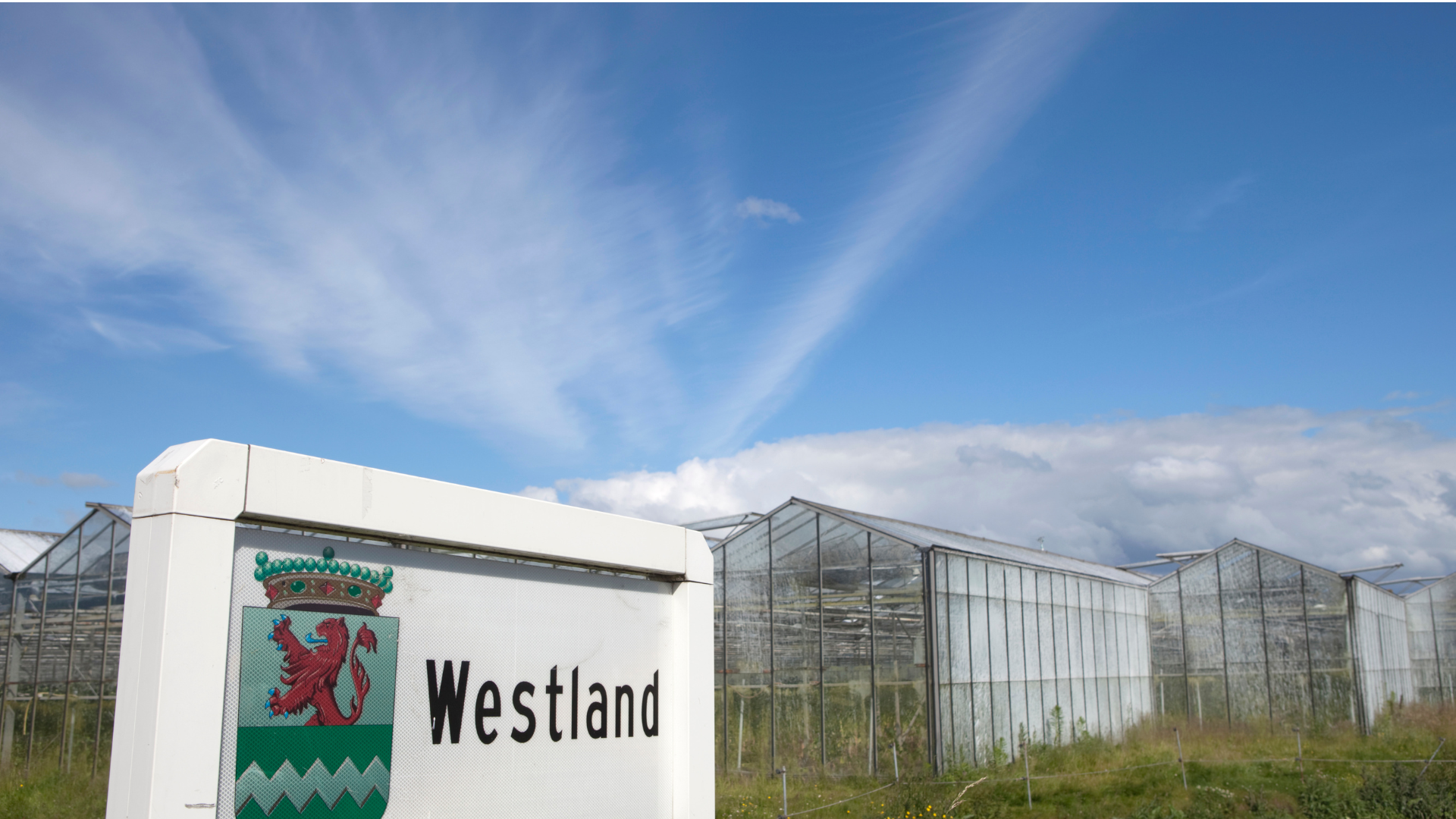 Taxi Centrale Westland Contact